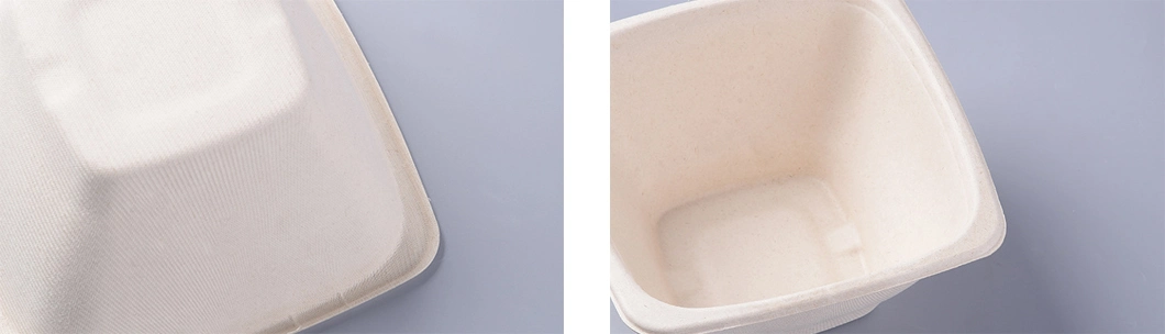 180*180*54mm 24oz Square Bowl with Pet Lid Disposable Compostable Eco Friendly Sugarcane Bagasse Pulp Bowls