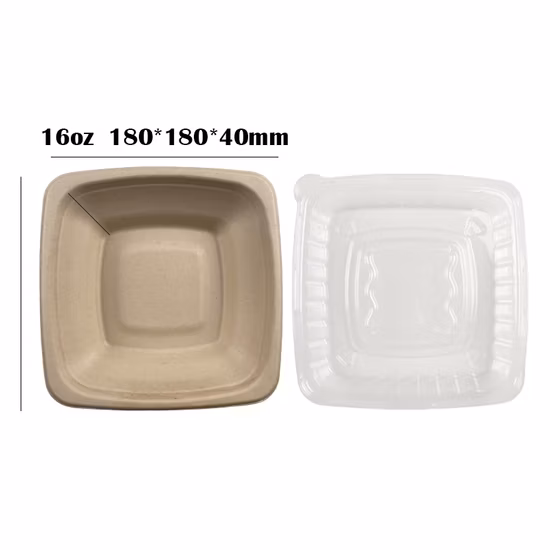 Bol carré de 180*180*54mm 24oz avec couvercle pour animaux de compagnie bols de pulpe de bagasse de canne à sucre compostable écologique jetable