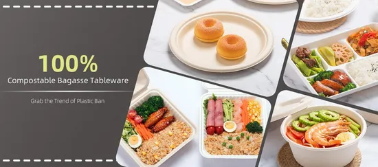 Boîte à lunch rectangulaire à emporter d'emballage en plastique 1 plat de nourriture d'élimination des compartiments